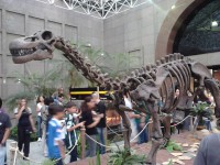 /album/galeria-de-fotos/exposi%c3%a7%c3%a3o%20dinossauros%20patagonia%20%283%29-jpg/